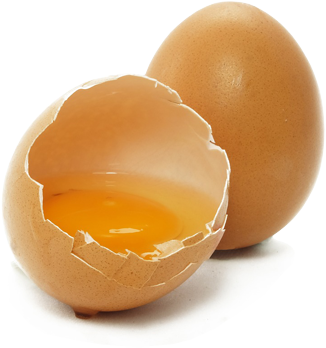 About Eggs