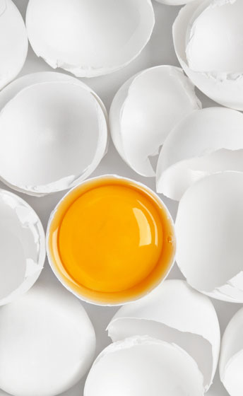 white egg with one yolk