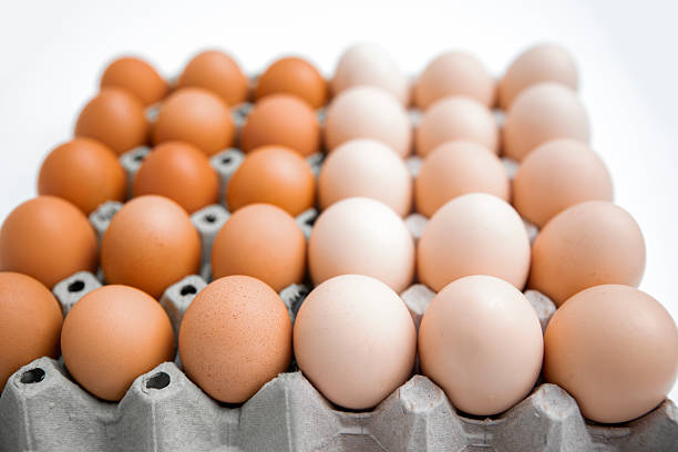 brown and white fresh chicken eggs stack in egg carton ready for sale